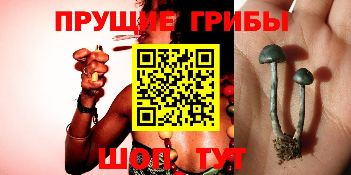 Магазин наркотиков  Codein  Лсд 25  НБОМе  Вход с VPN  Меф кристаллы  Cocaine  Гашиш  Арзамас  ГАШ 