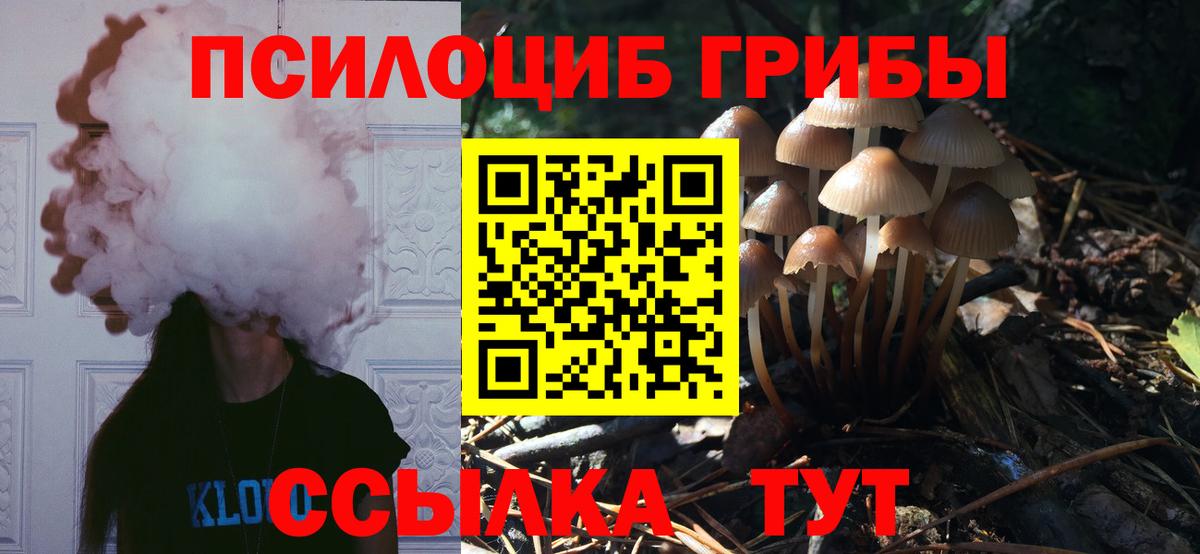 Псилоцибиновые грибы Psilocybine cubensis  Вход с VPN  Арзамас 